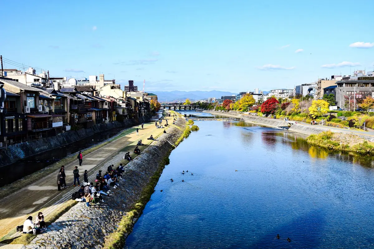 Kamo River in autumn with buildings along both banks